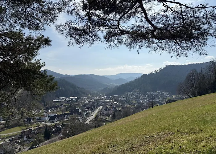Schwarzwald Blockhaus - Sauna - Kamin - Mit Bettwaesche Und Handtuecher
