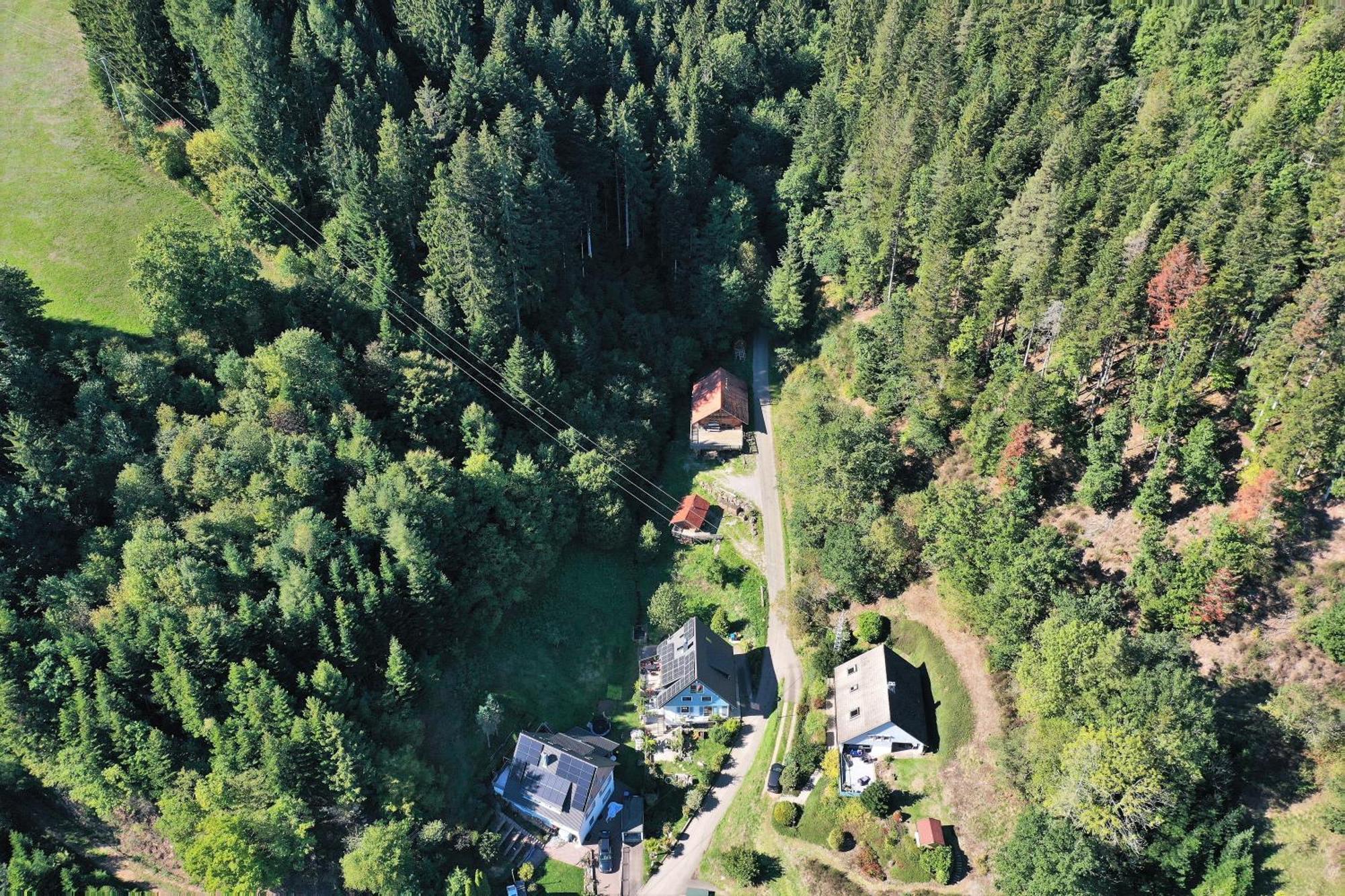 Holiday home Schwarzwald Blockhaus - Sauna - Kamin - Mit Bettwaesche Und Handtuecher